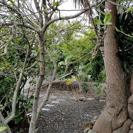 Rustikale Kanarische Finca Mit Garten Apartment *