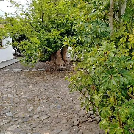 Rustikale Kanarische Finca Mit Garten Apartment *