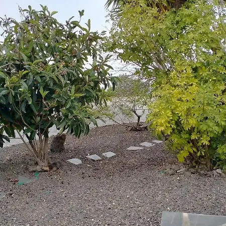 Apartment Rustikale Kanarische Finca Mit Garten *